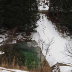 岡山吉備中央町ぶどうピオーネ