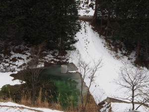 岡山吉備中央町ぶどうピオーネ