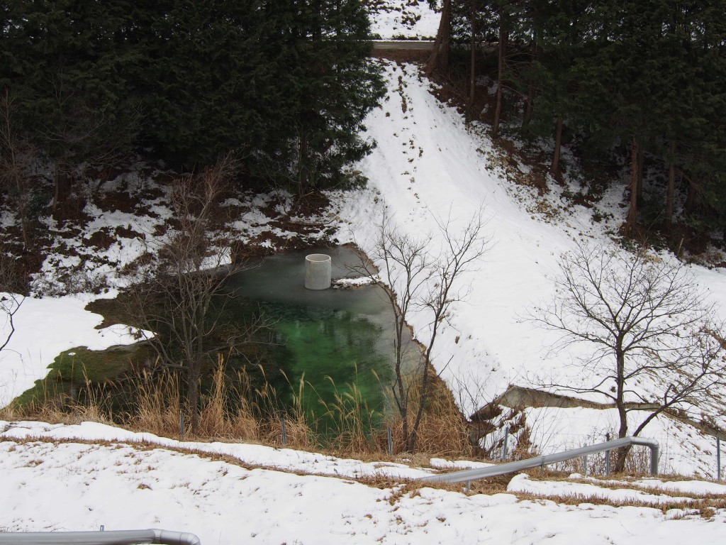 岡山吉備中央町ぶどうピオーネ