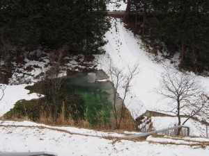 岡山吉備中央町ぶどうピオーネ