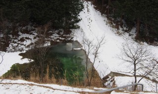 岡山吉備中央町ぶどうピオーネ