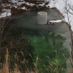 岡山吉備中央町ぶどうピオーネ