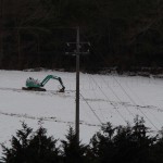 岡山吉備中央町ぶどうピオーネ