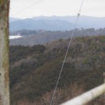 岡山吉備中央町ぶどうピオーネ