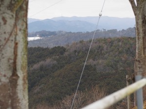 岡山吉備中央町ぶどうピオーネ