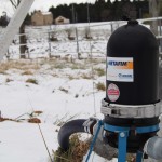 岡山吉備中央町ぶどうピオーネ