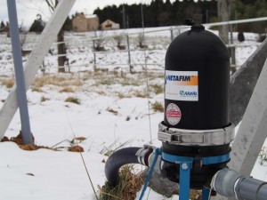 岡山吉備中央町ぶどうピオーネ