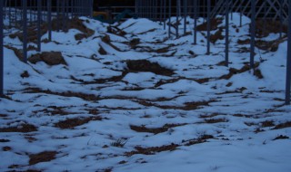 天空のピオーネ農園アグリスジャパン