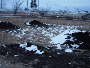 岡山吉備中央町ぶどうピオーネ
