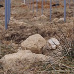 天空のピオーネ農園アグリスジャパン