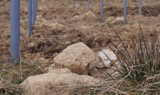 天空のピオーネ農園アグリスジャパン
