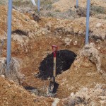 岡山吉備中央町ぶどうピオーネ