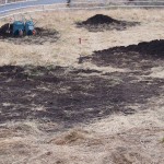 岡山吉備中央町ぶどうピオーネ