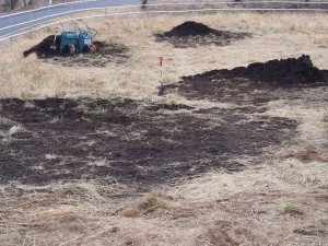 岡山吉備中央町ぶどうピオーネ