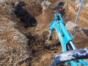 岡山吉備中央町ぶどうピオーネ