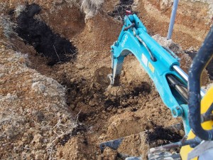 岡山吉備中央町ぶどうピオーネ