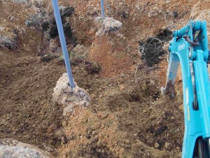 岡山吉備中央町ぶどうピオーネ