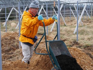 岡山吉備中央町ぶどうピオーネ