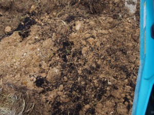 天空のピオーネ農園アグリスジャパン