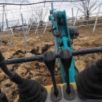 岡山吉備中央町ぶどうピオーネ