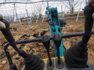 岡山吉備中央町ぶどうピオーネ