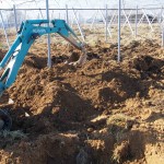 天空のピオーネ農園アグリスジャパン