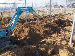 天空のピオーネ農園アグリスジャパン