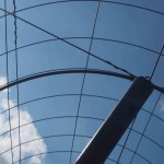 岡山吉備中央町ぶどうピオーネ