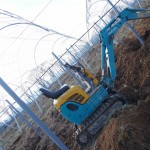 岡山吉備中央町ぶどうピオーネ