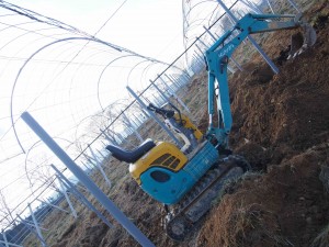 岡山吉備中央町ぶどうピオーネ