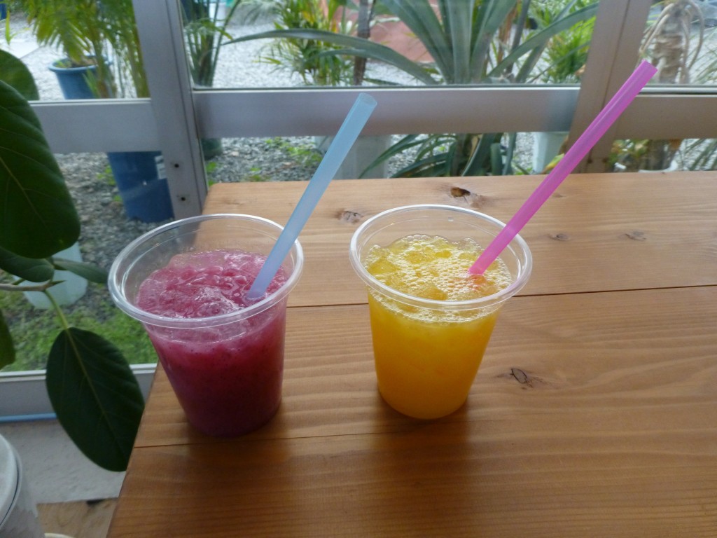 ドラゴンフルーツアグリスジャパン