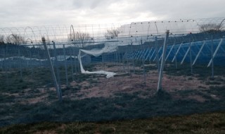 岡山吉備中央町ぶどうピオーネ