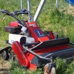 岡山吉備中央町ぶどうピオーネ