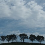 岡山吉備中央町ぶどうピオーネ