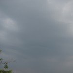 岡山吉備中央町ぶどうピオーネ