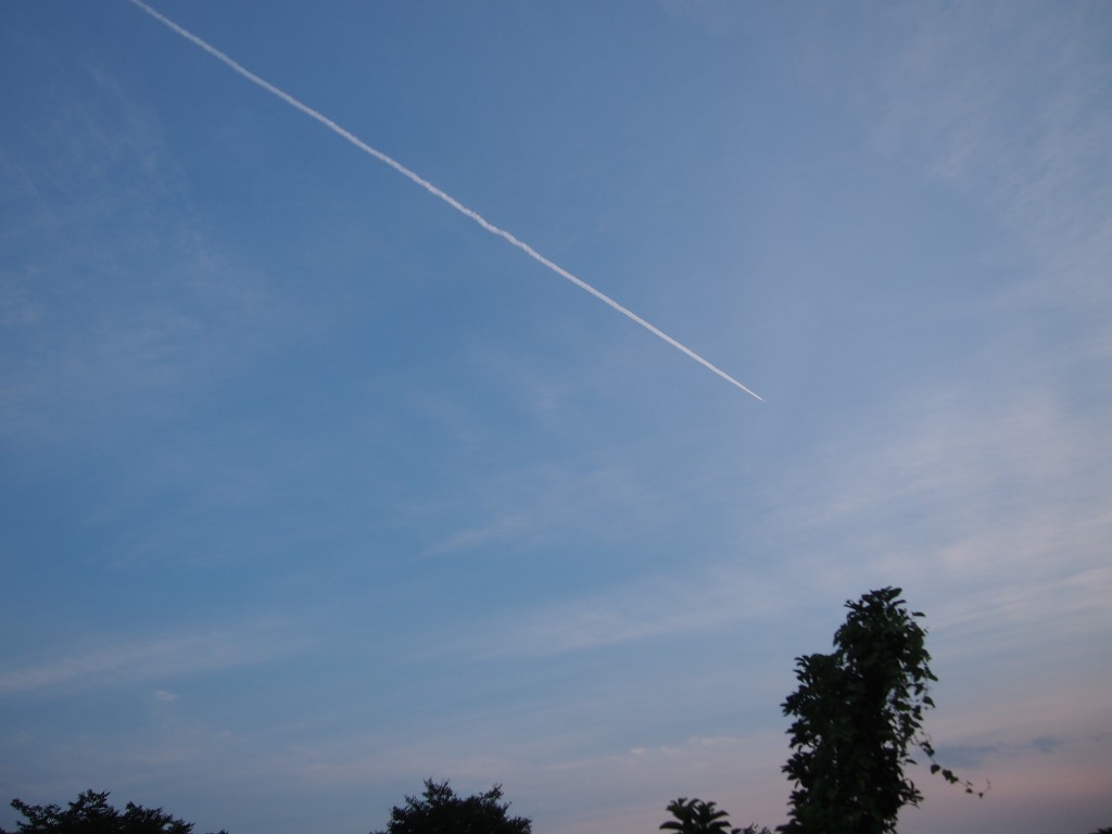 岡山吉備中央町ぶどうピオーネ