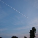 岡山吉備中央町ぶどうピオーネ