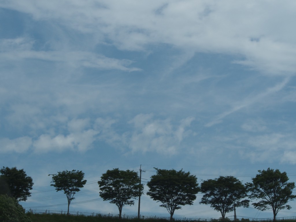 岡山吉備中央町ぶどうピオーネ