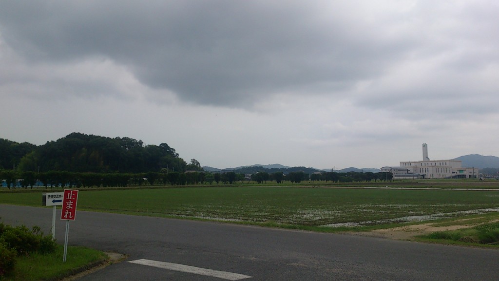 岡山吉備中央町ぶどうピオーネ