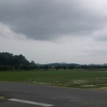 岡山吉備中央町ぶどうピオーネ