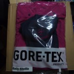 岡山吉備中央町ぶどうピオーネ