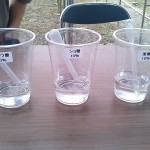 岡山吉備中央町ぶどうピオーネ