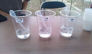 岡山吉備中央町ぶどうピオーネ