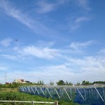 岡山吉備中央町ぶどうピオーネ