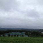 岡山吉備中央町ぶどうピオーネ