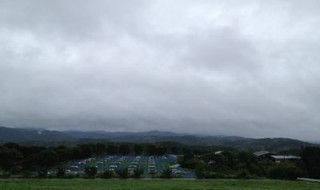 岡山吉備中央町ぶどうピオーネ