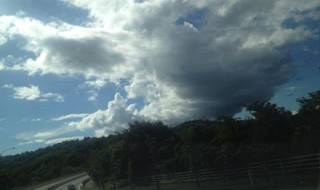 岡山吉備中央町ぶどうピオーネ