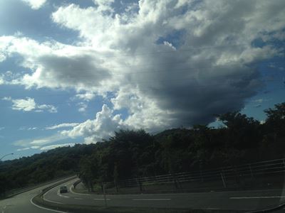 岡山吉備中央町ぶどうピオーネ