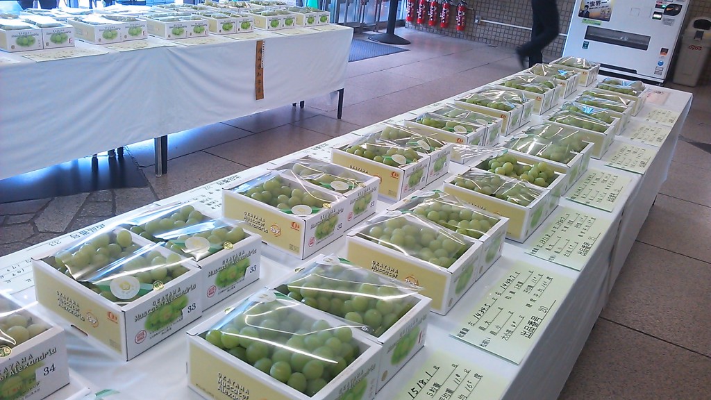 岡山吉備中央町ぶどうピオーネ