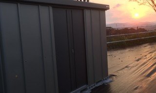 岡山吉備中央町ぶどうピオーネ